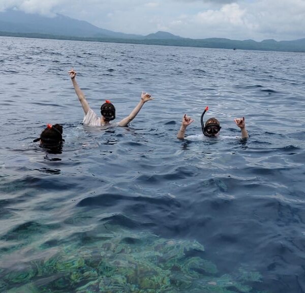 Diving in Menjangan Island Snorkelling in Menjangan Island Best diving sites in Bali Snorkelling sites in Bali Diving in West Bali National Park Diving and snorkelling Bal