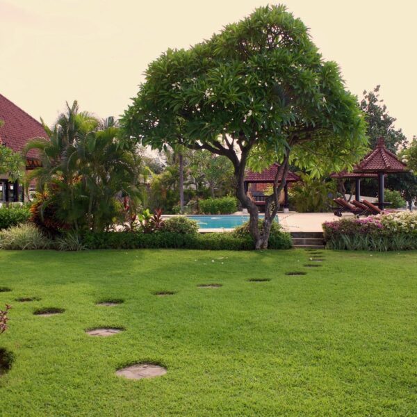 Garden pool view