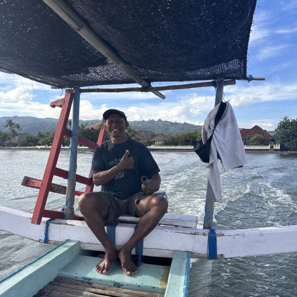 Dolphins in Lovina, Bali dolphin tour