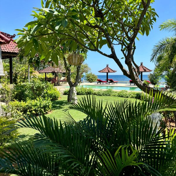 Beautifull tropical garden from Villa Namaste & Guesthouses