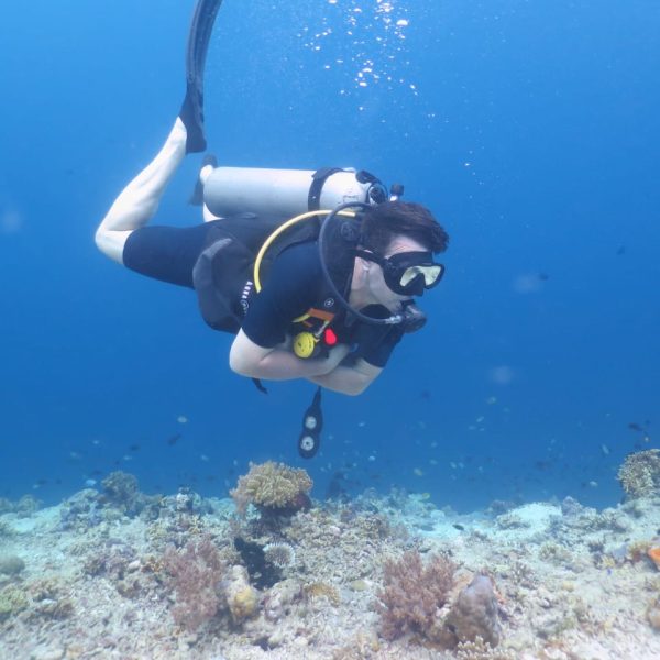 Best diving sites in Bali Snorkelling sites in Bali Diving in West Bali National Park Diving and snorkelling Bali