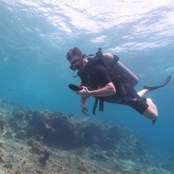 Best diving sites in Bali Snorkelling sites in Bali Diving in West Bali National Park Diving and snorkelling Bali