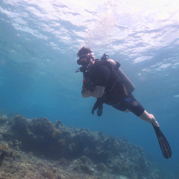 Best diving sites in Bali Snorkelling sites in Bali Diving in West Bali National Park Diving and snorkelling Bali