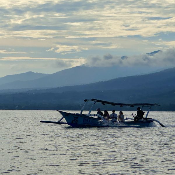 Dolphins in Lovina, Bali dolphin tour