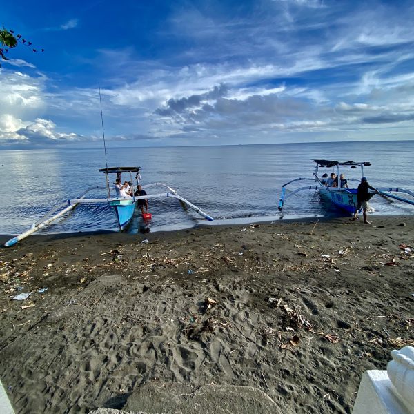 Dolphins in Lovina, Bali dolphin tour