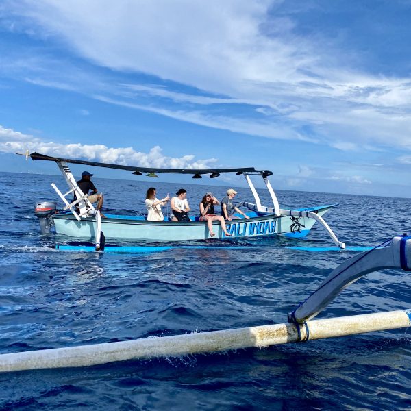 Dolphins in Lovina, Bali dolphin tour